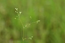 BUITEN BEELD Foto: 441854