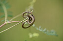 BUITEN BEELD Foto: 441855