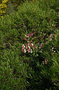 BUITEN BEELD Foto: 441859