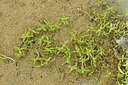 BUITEN BEELD Foto: 441860
