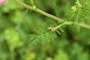 BUITEN BEELD Foto: 441861
