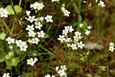 BUITEN BEELD Foto: 441862