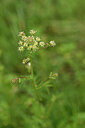 BUITEN BEELD Foto: 441868