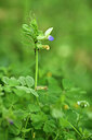 BUITEN BEELD Foto: 441871