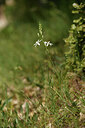 BUITEN BEELD Foto: 441873