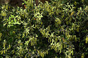 BUITEN BEELD Foto: 441875