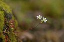 BUITEN BEELD Foto: 441886