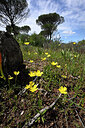 BUITEN BEELD Foto: 441889
