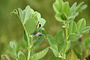 BUITEN BEELD Foto: 441890