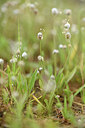 BUITEN BEELD Foto: 441892