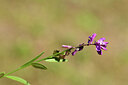 BUITEN BEELD Foto: 441894