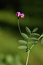 BUITEN BEELD Foto: 441896