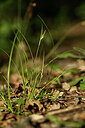 BUITEN BEELD Foto: 441903