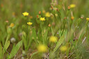 BUITEN BEELD Foto: 441919