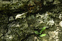 BUITEN BEELD Foto: 441920