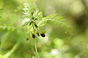 BUITEN BEELD Foto: 441923