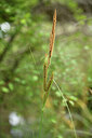 BUITEN BEELD Foto: 441926
