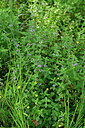 BUITEN BEELD Foto: 441927