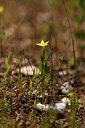 BUITEN BEELD Foto: 441932