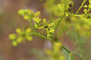 BUITEN BEELD Foto: 441934