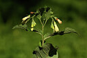 BUITEN BEELD Foto: 441941