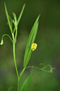 BUITEN BEELD Foto: 441942