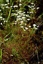 BUITEN BEELD Foto: 441944