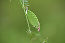 BUITEN BEELD Foto: 441945