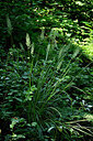 BUITEN BEELD Foto: 441946