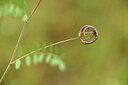 BUITEN BEELD Foto: 441948