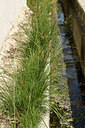 BUITEN BEELD Foto: 441950