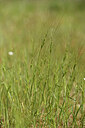 BUITEN BEELD Foto: 441955