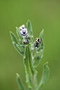 BUITEN BEELD Foto: 441957