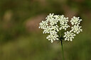 BUITEN BEELD Foto: 441964