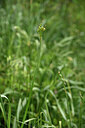 BUITEN BEELD Foto: 441989