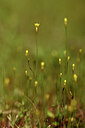 BUITEN BEELD Foto: 441993