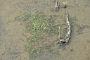 BUITEN BEELD Foto: 441995