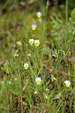 BUITEN BEELD Foto: 441999