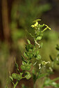 BUITEN BEELD Foto: 442001