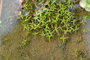 BUITEN BEELD Foto: 442002