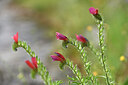 BUITEN BEELD Foto: 442003