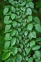 BUITEN BEELD Foto: 442006