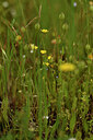 BUITEN BEELD Foto: 442007