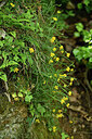 BUITEN BEELD Foto: 442010