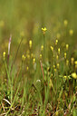 BUITEN BEELD Foto: 442012