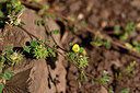 BUITEN BEELD Foto: 442013