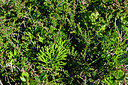 BUITEN BEELD Foto: 442020