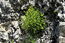 BUITEN BEELD Foto: 442022