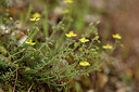 BUITEN BEELD Foto: 442023