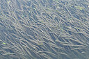 BUITEN BEELD Foto: 442025